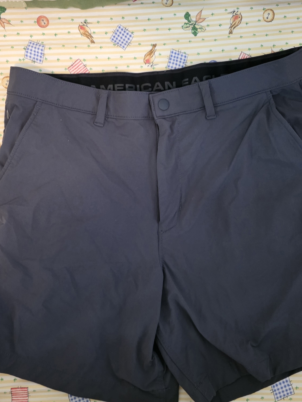 American Eagle Outfitters Men's Dark Blue Hybrid Shorts